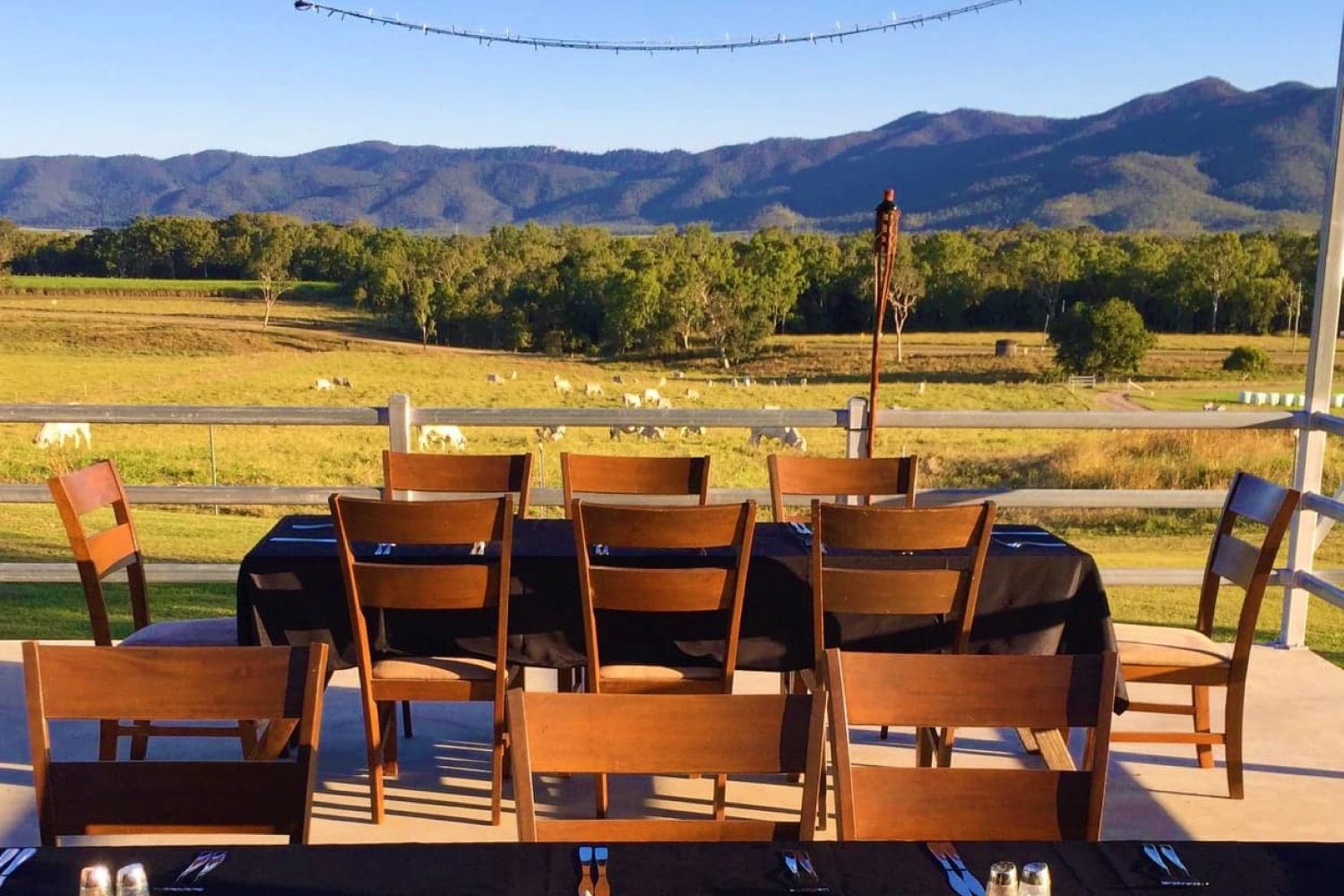 Note Park Grazing Co.