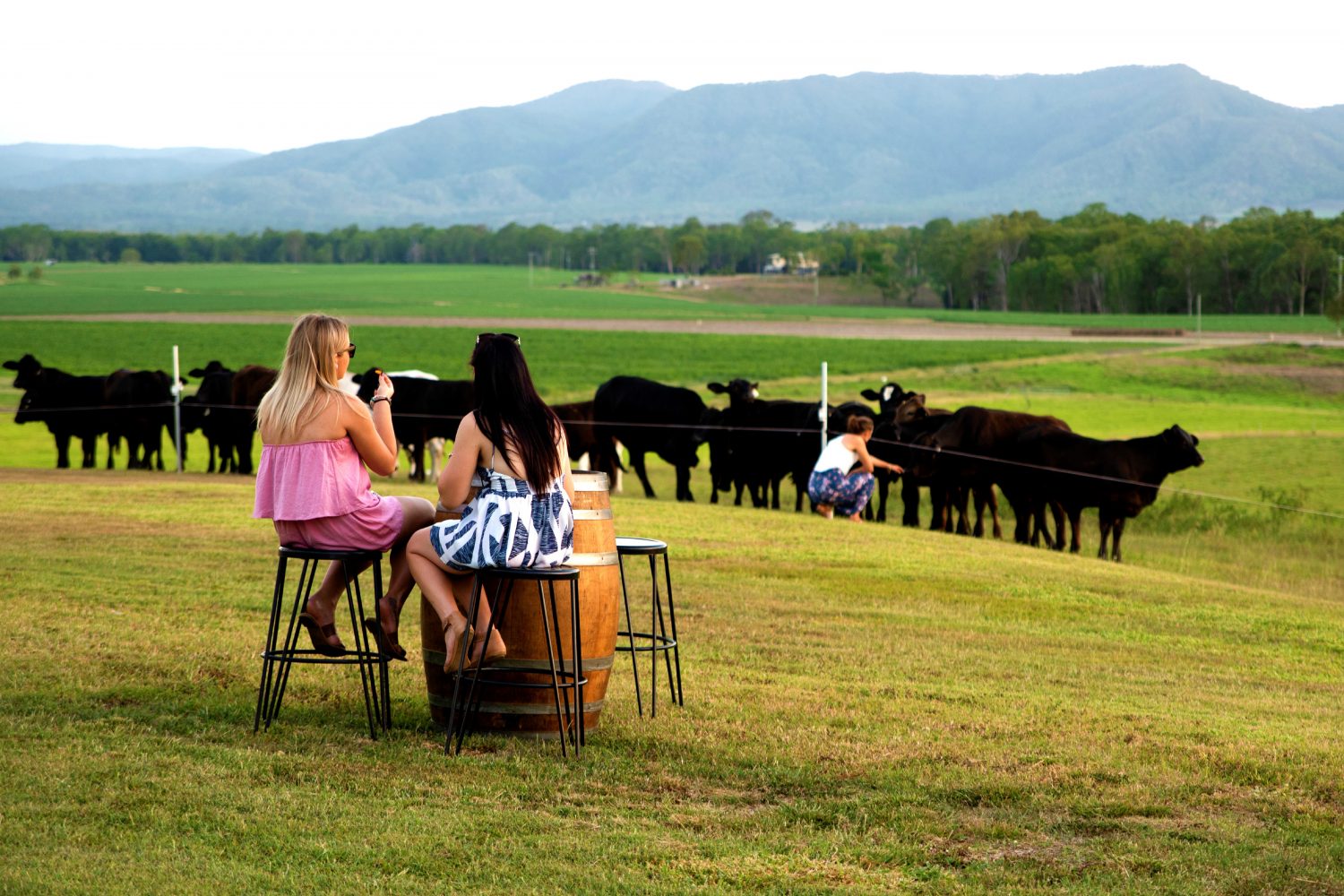 Note Park Grazing Co.